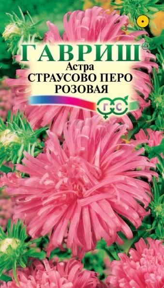 Однолетник Астра Страусово перо розовая Гавриш