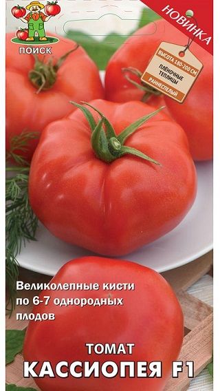 Томат КАССИОПЕЯ Поиск