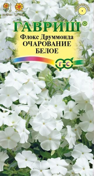 Однолетник Флокс Очарование белое друммонди Гавриш