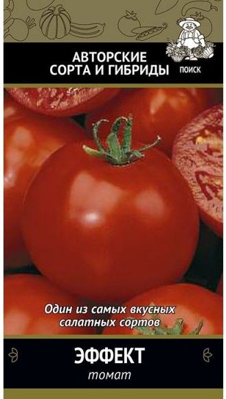 Томат ЭФФЕКТ ЦВ Поиск