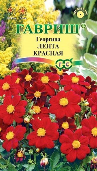 Однолетник Георгина Лента красная Гавриш