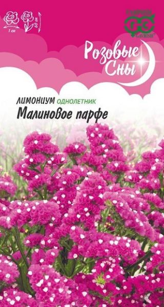 Однолетник Лимониум (Статица) Малиновое парфе Розовые сны Гавриш