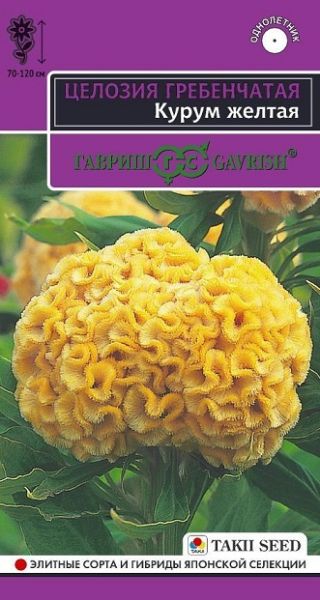 Однолетник Целозия Курум желтая гребенчатая Гавриш