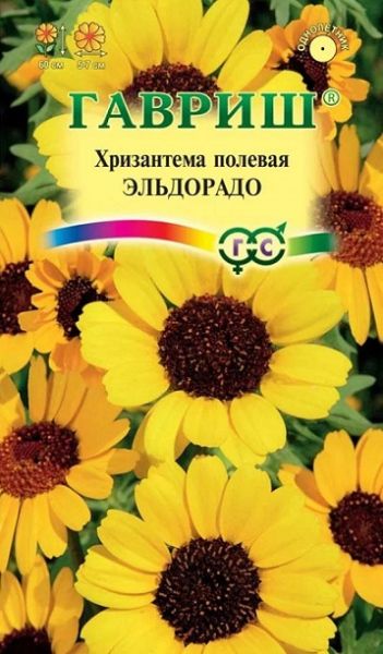 Однолетник Хризантема Эльдорадо Гавриш