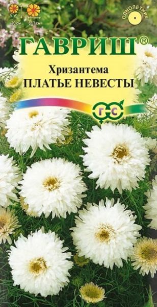Однолетник Хризантема Платье невесты Гавриш