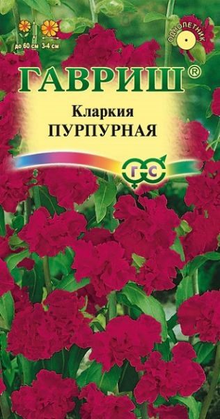 Однолетник Кларкия Пурпурная Гавриш
