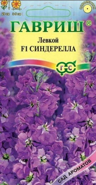 Однолетник Левкой Синдерелла Сад ароматов Гавриш