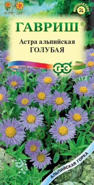 Многолетник Астра Голубая альпийская Альпийская горка Гавриш