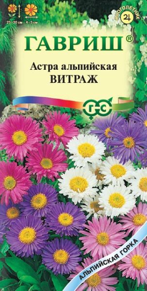 Многолетник Астра Витраж альпийская Альпийская горка Гавриш