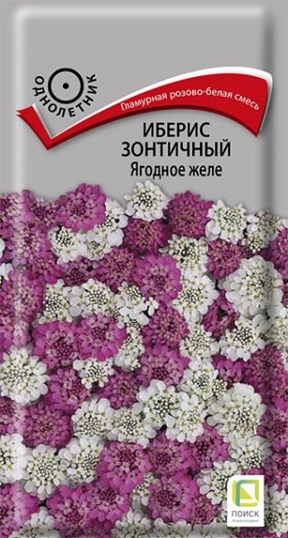 Однолетник Иберис зонтичный Ягодное желе ЦВ Поиск