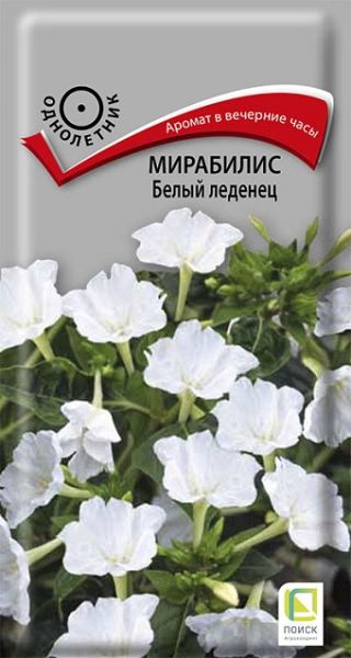 Однолетник Мирабилис Белый леденец ЦВ Поиск