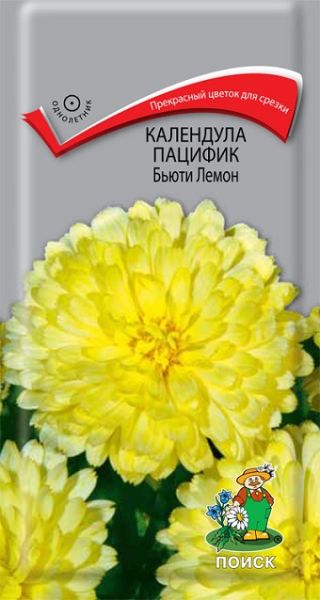 Однолетник Календула пацифик Бьюти Лемон Поиск