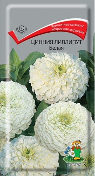 Однолетник Цинния лиллипут Белая ЦВ Поиск