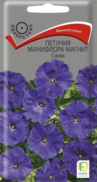 Однолетник Петуния минифлора магнит Синяя ЦВ Поиск
