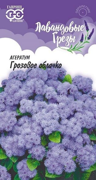 Однолетник Агератум Грозовое облачко Лавандовые грезы Гавриш