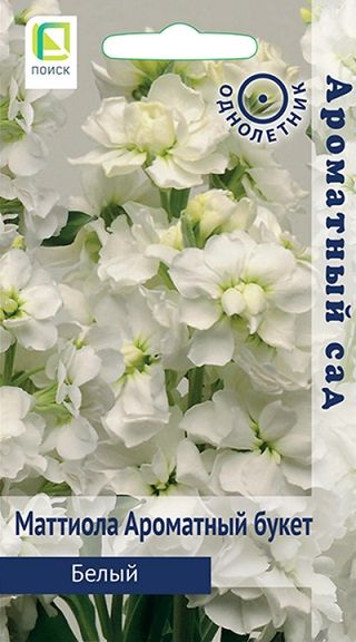 Однолетник Маттиола Ароматный букет Белый  Ароматный сад Поиск