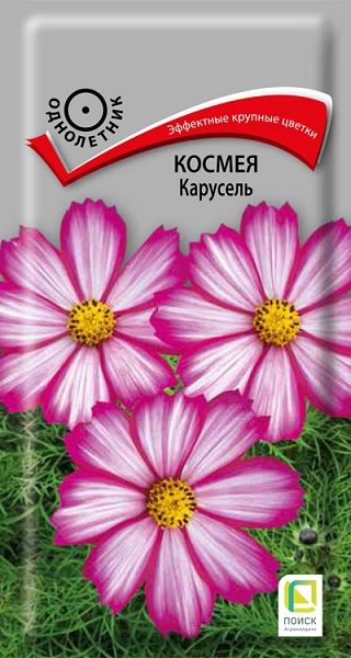 Однолетник Космея Карусель ЦВ Поиск