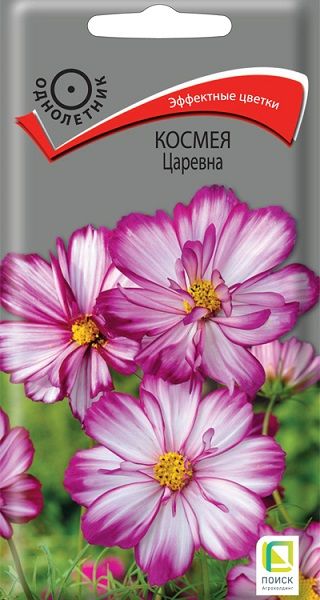 Однолетник Космея Царевна ЦВ Поиск