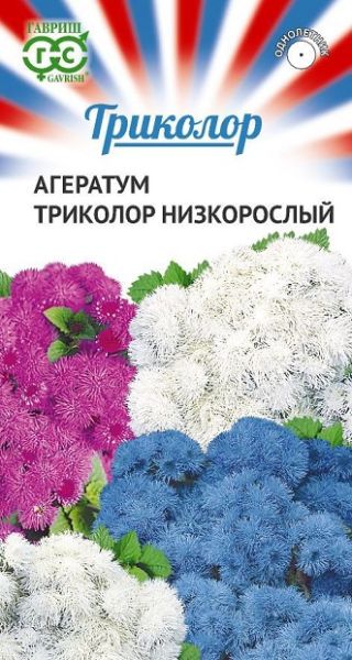 Однолетник Агератум Триколор низкорослый смесь Гавриш