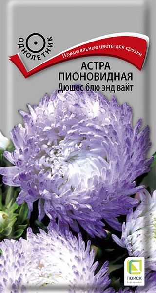 Однолетник Астра пионовидная Дюшес блю энд вайт ЦВ Поиск