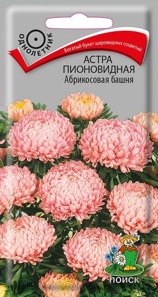 Однолетник Астра пионовидная Абрикосовая башня ЦВ Поиск