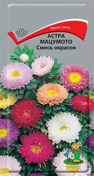 Однолетник Астра мацумото Смесь окрасок ЦВ Поиск