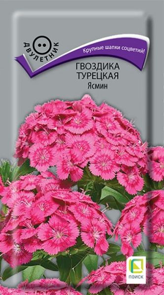 Двулетник Гвоздика турецкая Ясмин ЦВ Поиск 