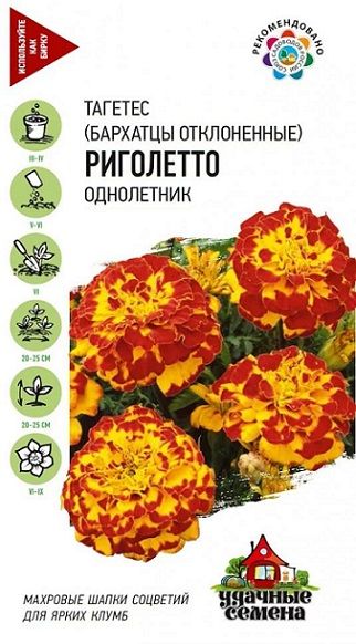 Однолетник Бархатцы откл. Риголетто Уд.с. Гавриш