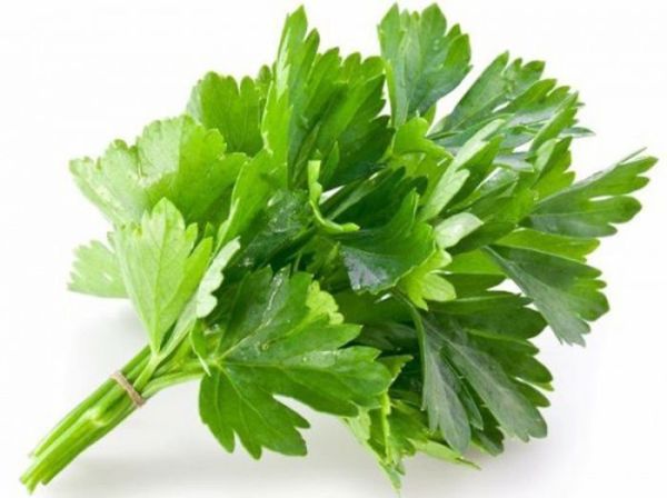 Кориандр ГРИНГО / GREENGO Greentime