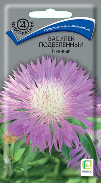 Однолетник Василёк подбеленный Розовый Поиск