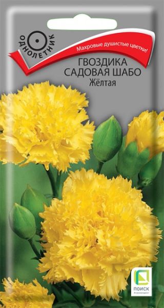 Однолетник Гвоздика садовая Шабо Желтая ЦВ Поиск