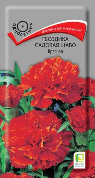 Однолетник Гвоздика садовая Шабо Красная ЦВ Поиск