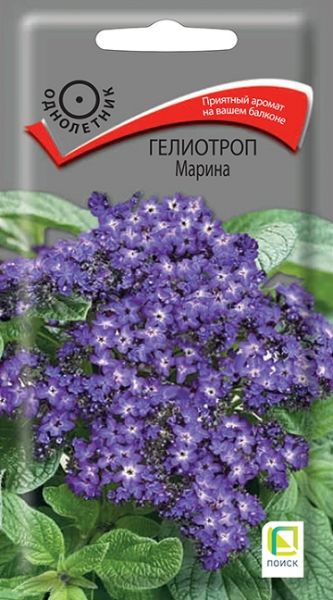 Однолетник Гелиотроп Марина ЦВ Поиск