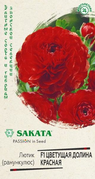 Многолетник Лютик (Ранункулюс) Цветущая долина красная пробирка, Саката Гавриш