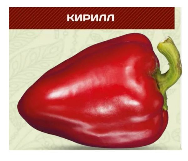 Перец сладкий КИРИЛЛ F1 / KIRILL F1 НИЦССА