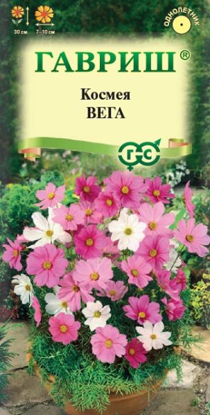 Однолетник Космея Вега, бело-розовая смесь Гавриш