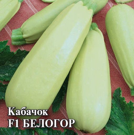 Кабачок БЕЛОГОР F1 Гавриш