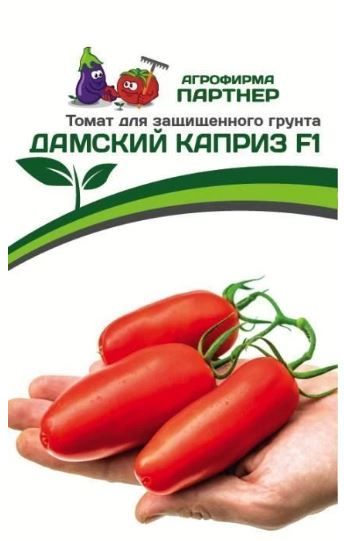 Томат ДАМСКИЙ КАПРИЗ F1 Партнер