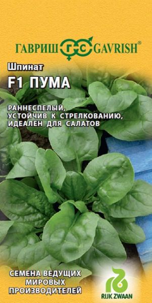 Шпинат ПУМА F1 Гавриш