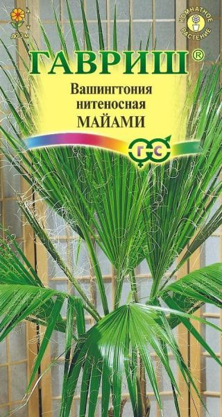 Комнатные Вашингтония (нитеносная) Майами Гавриш
