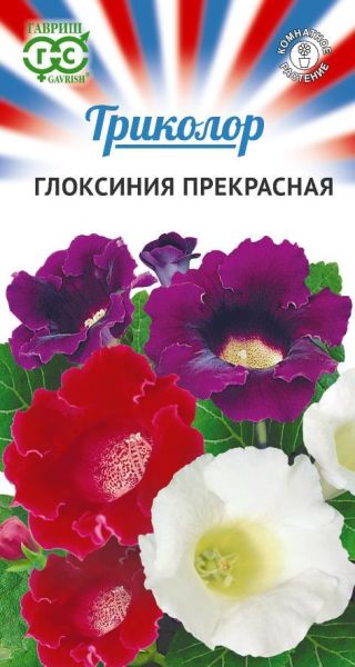 Комнатные Глоксиния смесь Триколор Гавриш