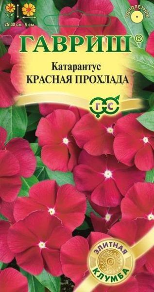 Комнатные Катарантус Красная прохлада Гавриш
