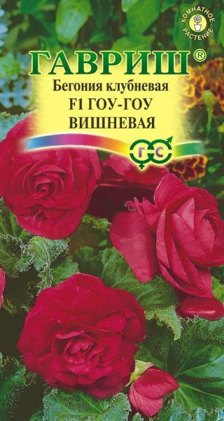 Комнатные Бегония Гоу-гоу вишневая клубневая Гавриш