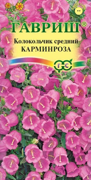 Многолетник Колокольчик Карминроза Гавриш