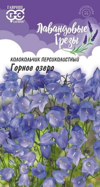 Многолетник Колокольчик Горное озеро, персиколистый Лавандовые грезы Гавриш