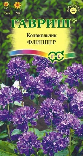 Многолетник Колокольчик Флиппер, скученный Гавриш