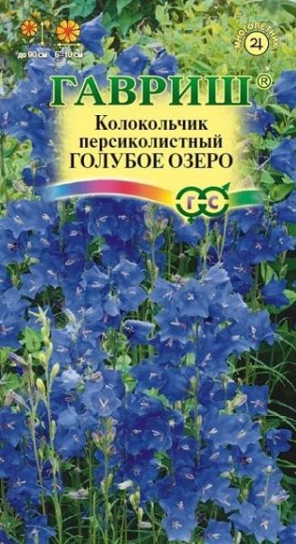 Многолетник Колокольчик Голубое озеро, персиколистый Гавриш