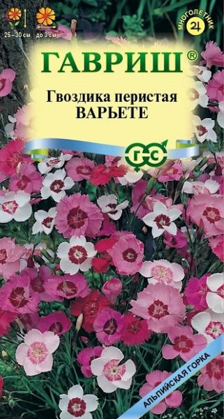 Многолетник Гвоздика перистая Варьете Альпийская горка Гавриш