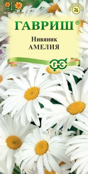 Многолетник Нивяник Амелия Гавриш