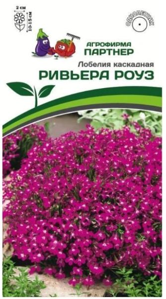 Однолетник Лобелия каскадная Ривьера Роуз Партнер